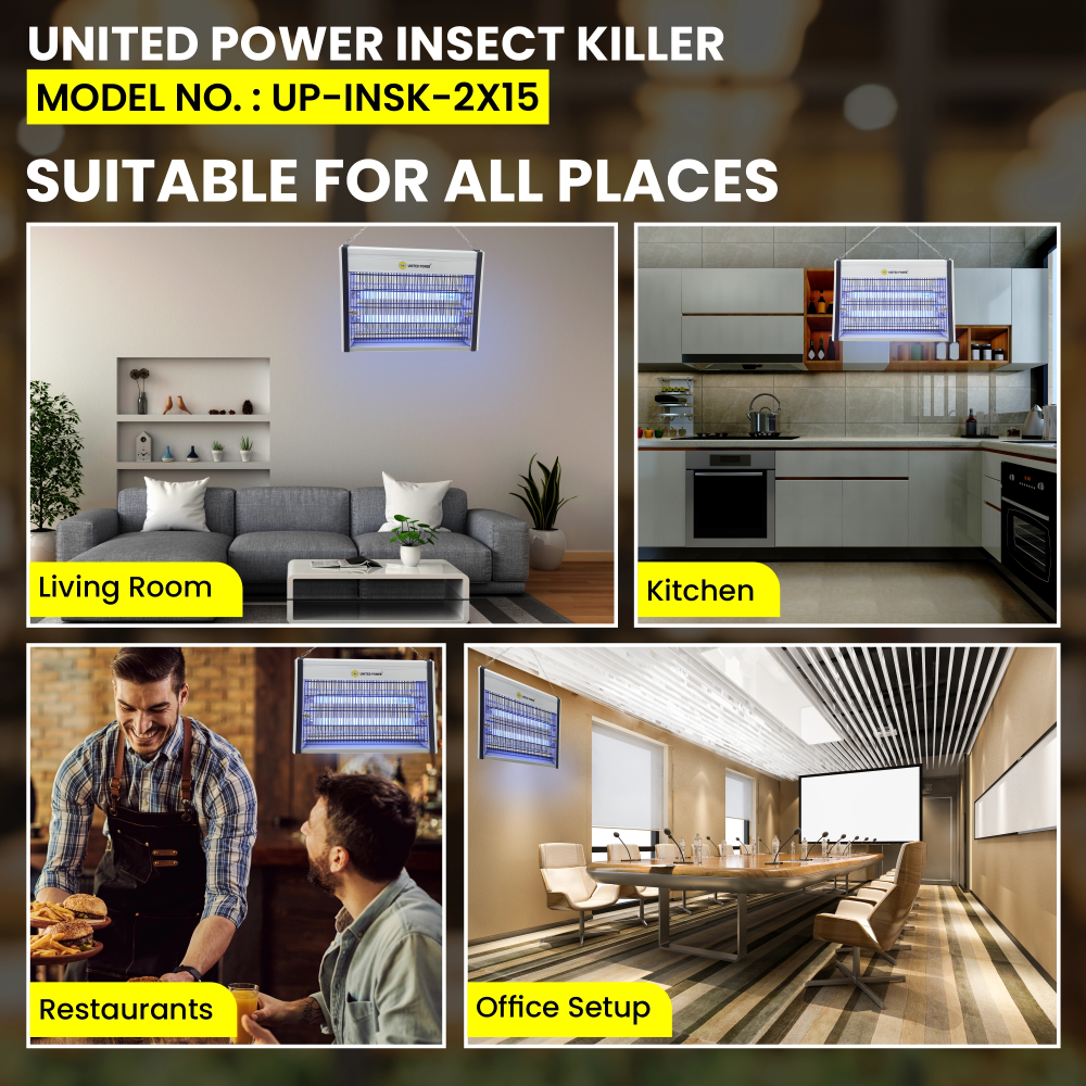 WEB UP INSK 2X15 12