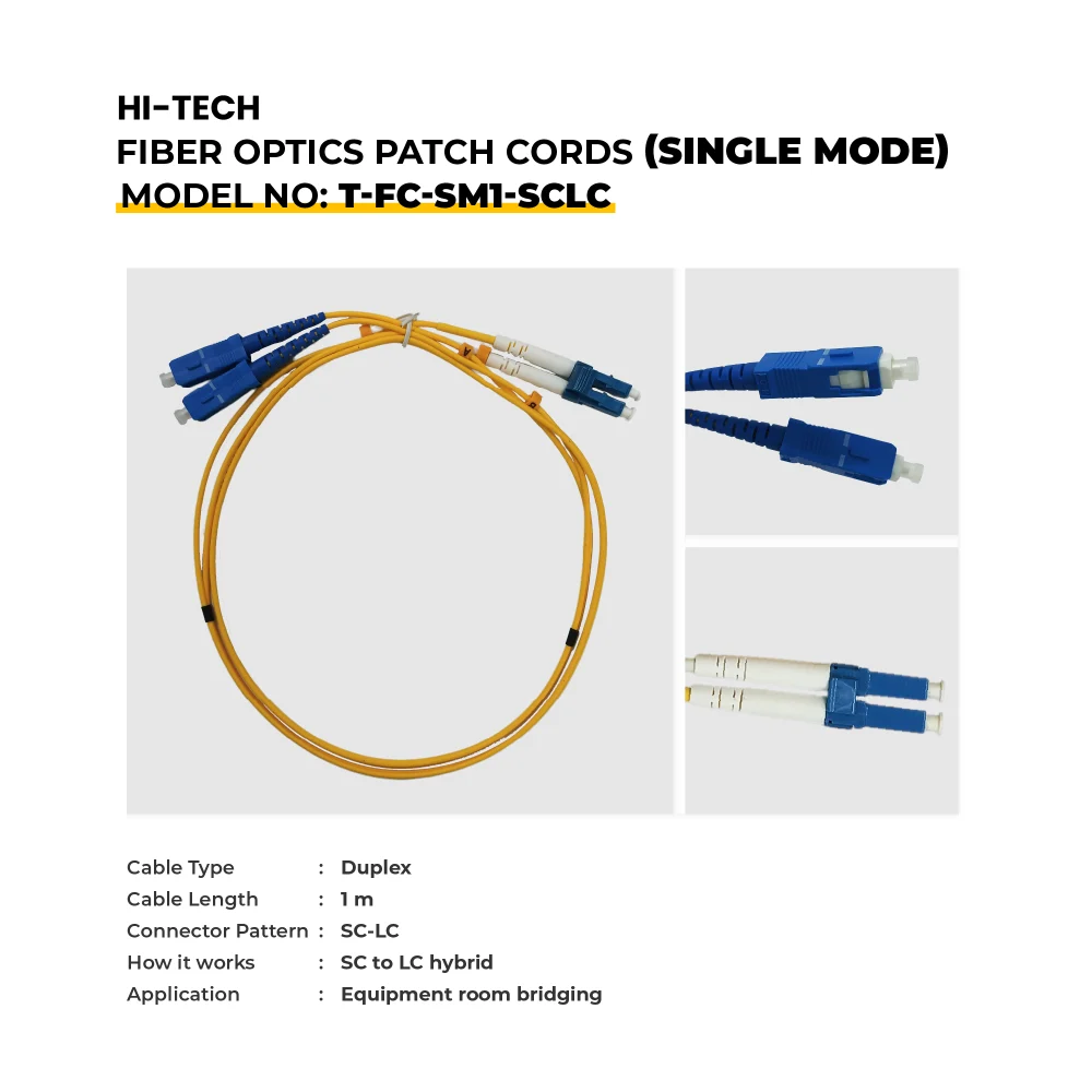 Webp T FC SM1 SCLC (1)